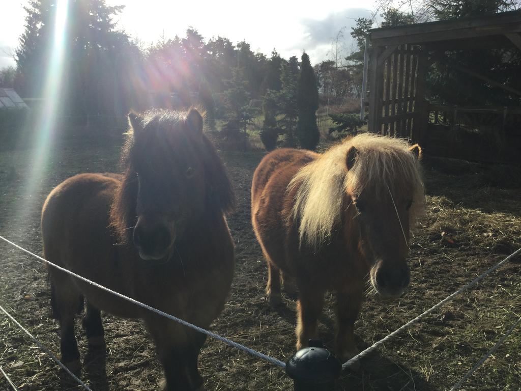 Zu Jeddelohs Lodge Hotel Gladenbach Eksteriør billede